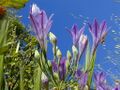 Thumbnail for version as of 09:32, 29 April 2025