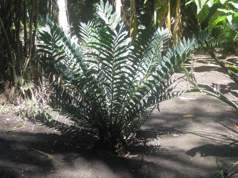 File:1280px-IMG 2025 hunt0903.jpg