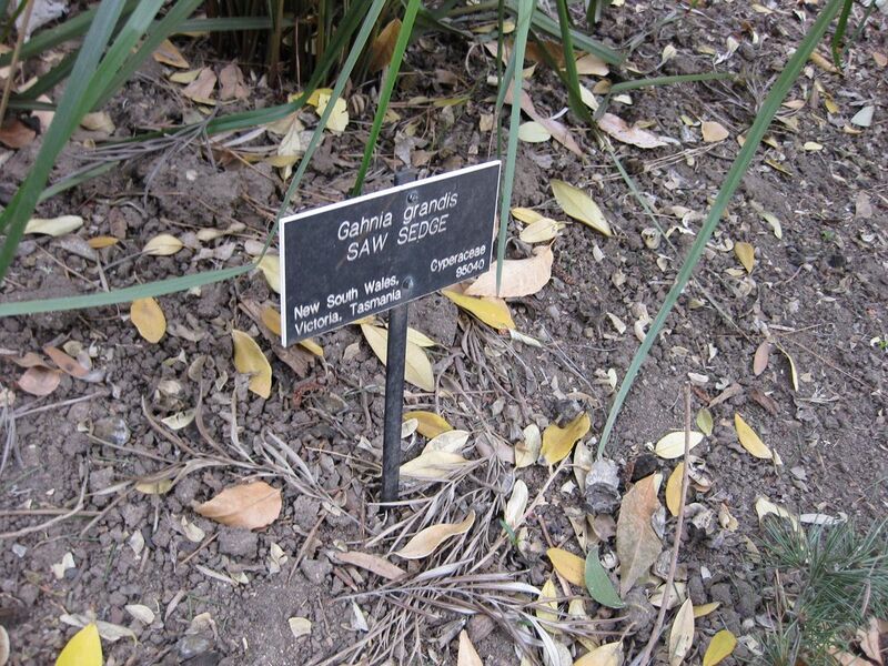 File:1280px-IMG 4602 hunt0904.jpg