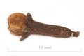 Thumbnail for version as of 04:56, 25 September 2007