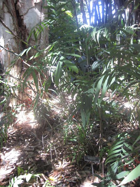 File:IMG 2048 hunt0903.jpg