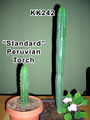 Thumbnail for version as of 04:57, 31 October 2007