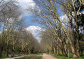 Thumbnail for version as of 15:42, 4 November 2007