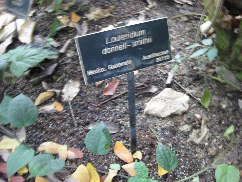 File:1280px-IMG 1750 hunt09oct.jpg