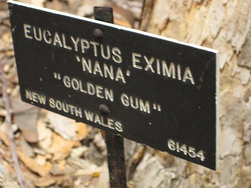 File:1280px-IMG 4773 hunt0904.jpg