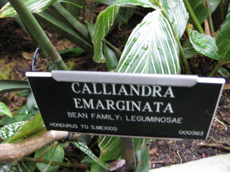 File:IMG 1037 bbg09.jpg