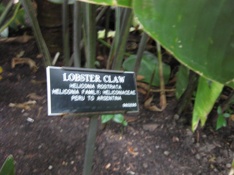 File:IMG 1061 bbg09.jpg