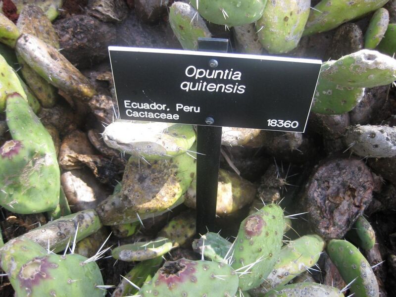 File:1280px-IMG 2259 hunt0903.jpg