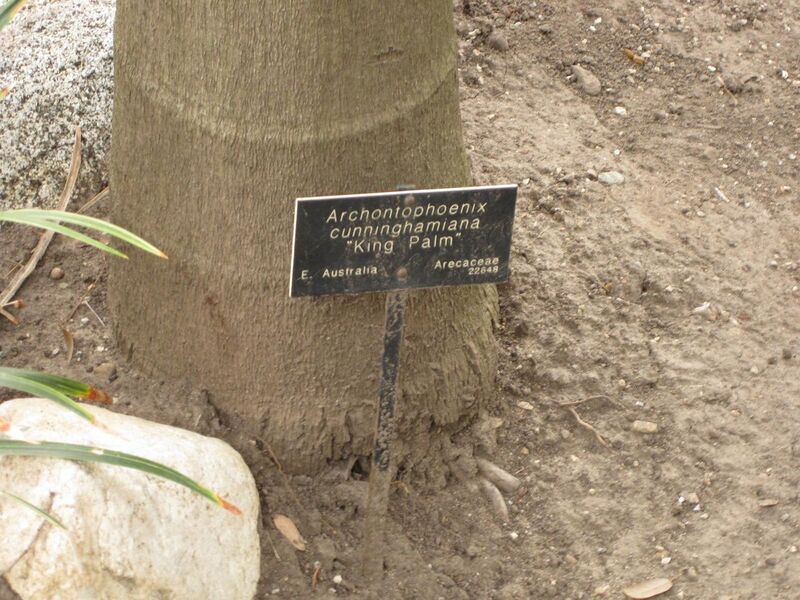 File:1280px-IMG 3931 hunt0904.jpg