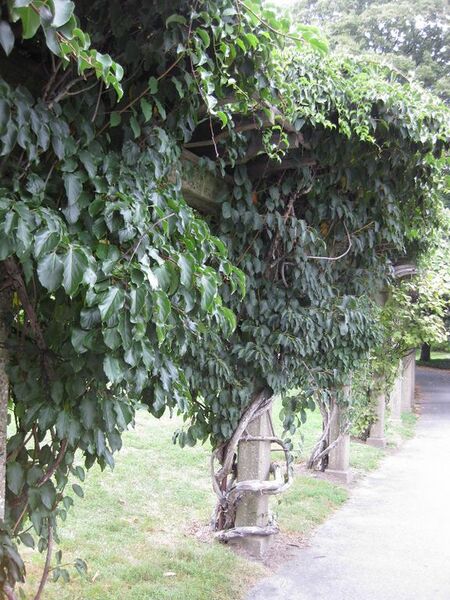 File:576px-IMG 1344 bbg09.jpg