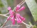 Thumbnail for version as of 05:19, 9 May 2007