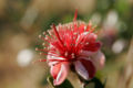 Thumbnail for version as of 12:24, 25 May 2007