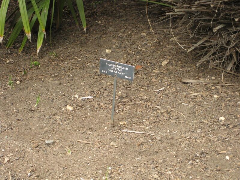 File:1280px-IMG 4063 hunt0904.jpg