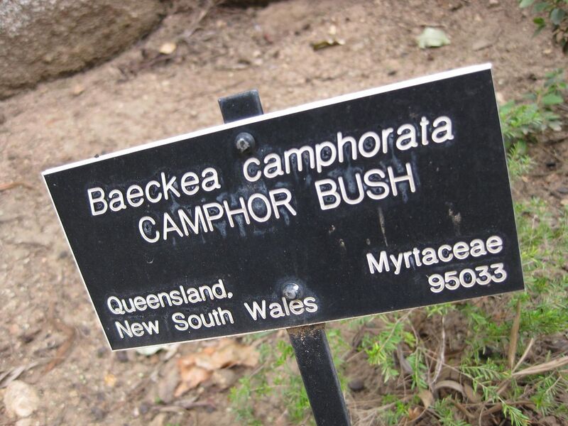 File:1280px-IMG 4741 hunt0904.jpg