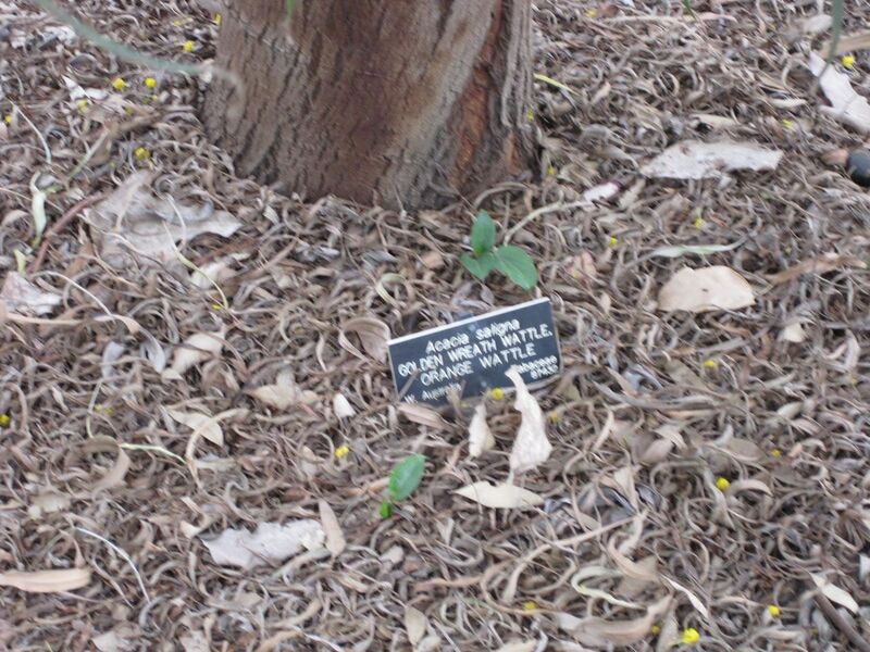 File:1280px-IMG 4822 hunt0904.jpg