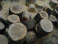 Thumbnail for version as of 07:53, 25 May 2007