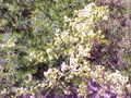Thumbnail for version as of 11:39, 25 October 2007