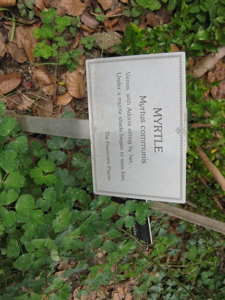 File:IMG 5206 hunt0904.jpg