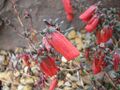 Thumbnail for version as of 09:45, 29 April 2025