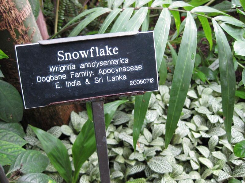 File:1280px-IMG 1198 bbg09.jpg