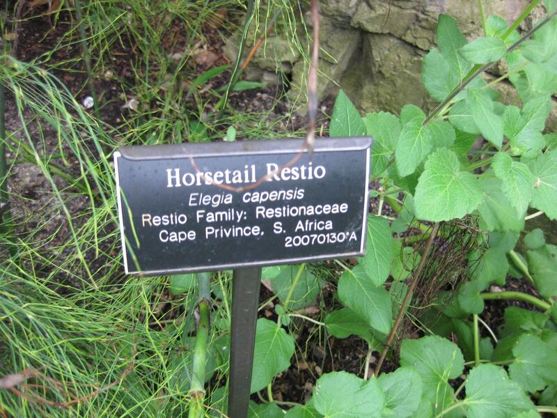 File:1280px-IMG 1225 bbg09.jpg