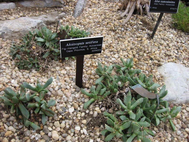 File:1280px-IMG 1282 bbg09.jpg