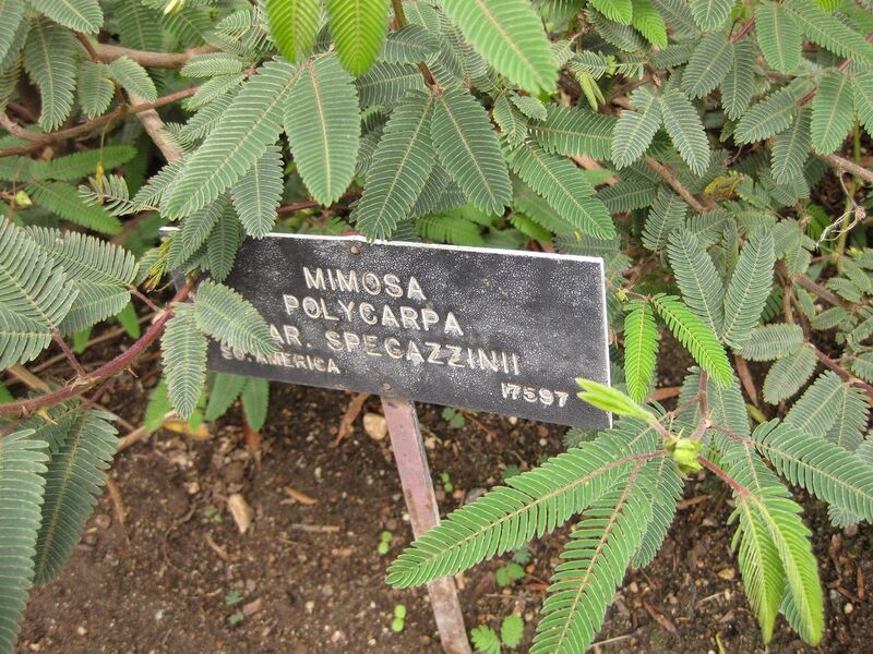 File:1280px-IMG 7107 hunt09jun.jpg