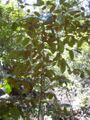 Thumbnail for version as of 10:29, 29 April 2025