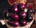 Eggplant flower