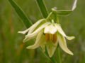 Thumbnail for version as of 22:13, 9 October 2008