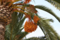 Taken in Murcia, Spain