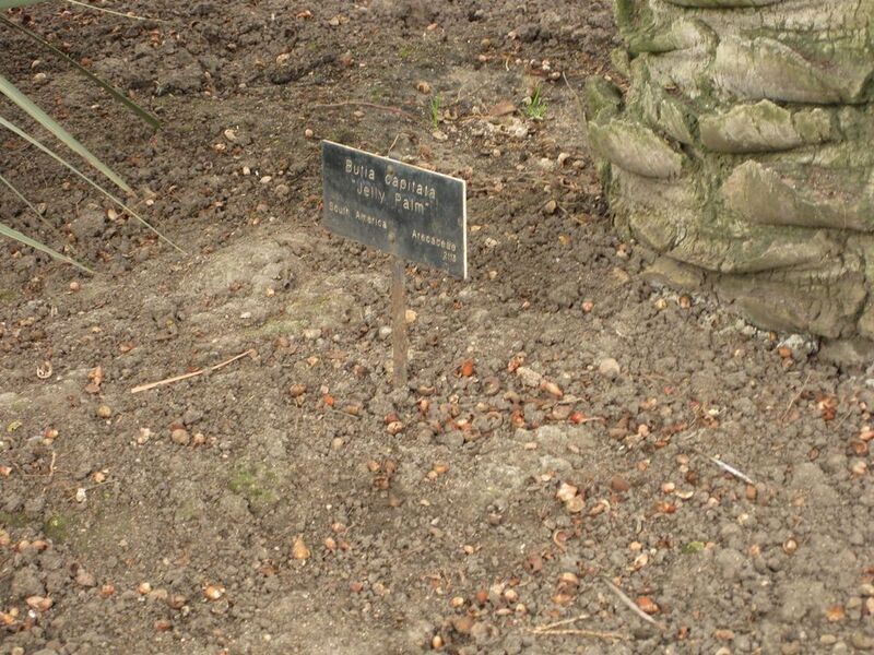 File:1024px-IMG 3885 hunt0904.jpg