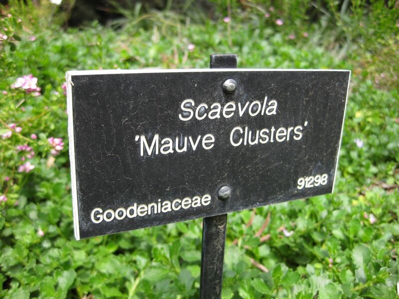 File:1280px-IMG 4551 hunt0904.jpg