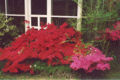 Thumbnail for version as of 17:02, 22 November 2008