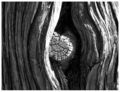 Thumbnail for version as of 07:55, 25 May 2007