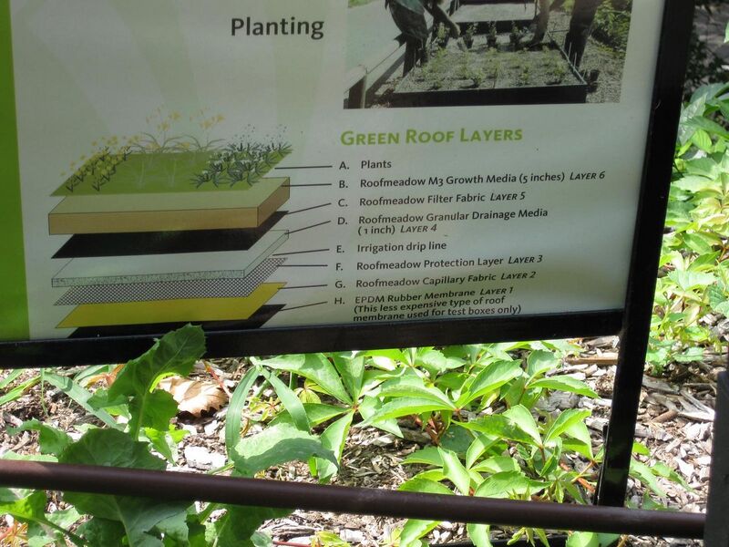 File:1280px-IMG 0585 bbg09.jpg