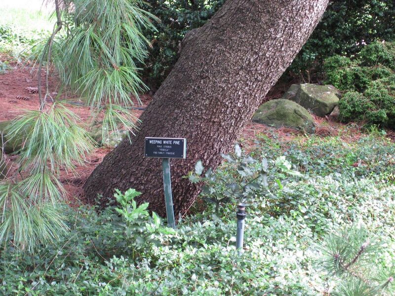 File:1280px-IMG 0699 bbg09.jpg