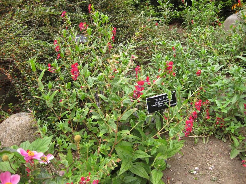 File:1280px-IMG 1393 bbg09.jpg