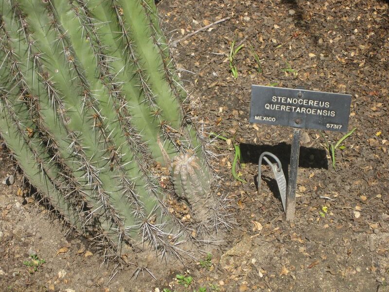 File:1280px-IMG 2240 hunt0903.jpg