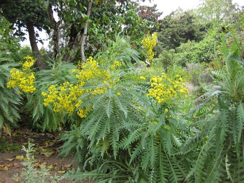 File:1280px-IMG 4935 hunt0904.jpg