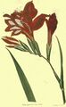 Thumbnail for version as of 10:27, 29 April 2025