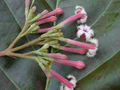 Thumbnail for version as of 04:42, 26 September 2007