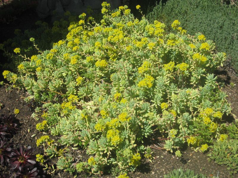 File:IMG 2150 hunt0903.jpg