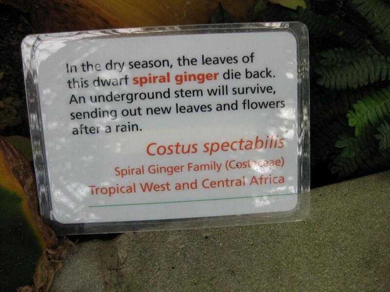 File:1280px-IMG 1802 hunt09oct.jpg