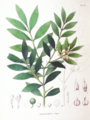Thumbnail for version as of 09:50, 29 April 2025