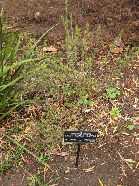 File:576px-IMG 7114 hunt09jun.jpg