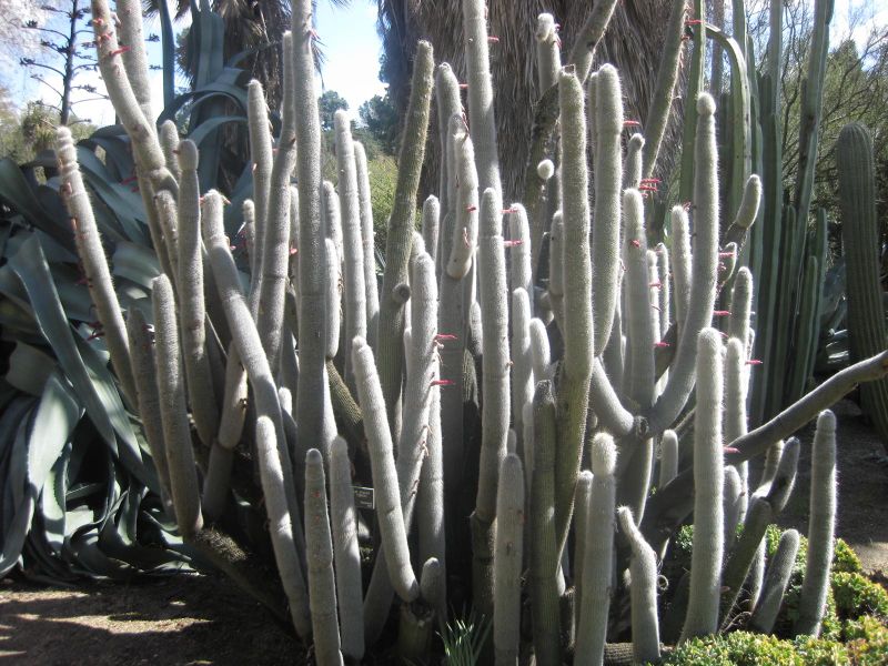 File:IMG 2164 hunt0903.jpg