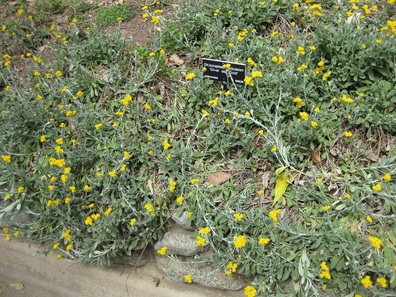 File:1280px-IMG 4526 hunt0904.jpg