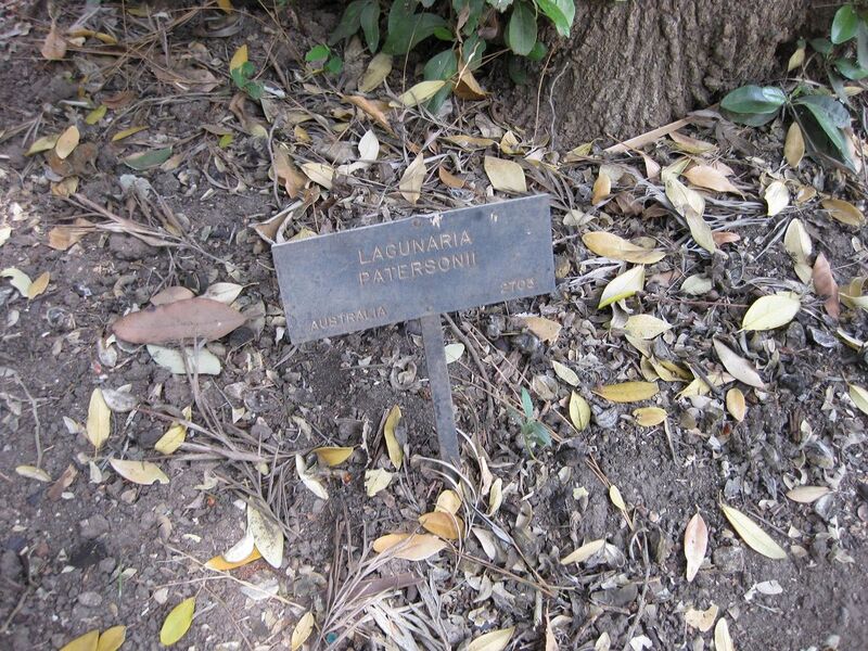 File:1280px-IMG 4600 hunt0904.jpg