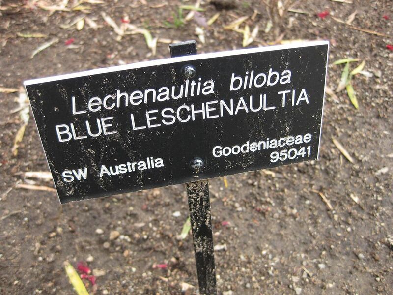 File:1280px-IMG 5062 hunt0904.jpg